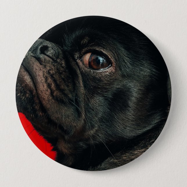rojo dog button (Front)