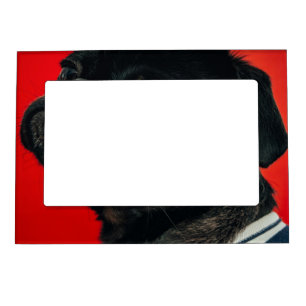 rojo dog magnetic frame