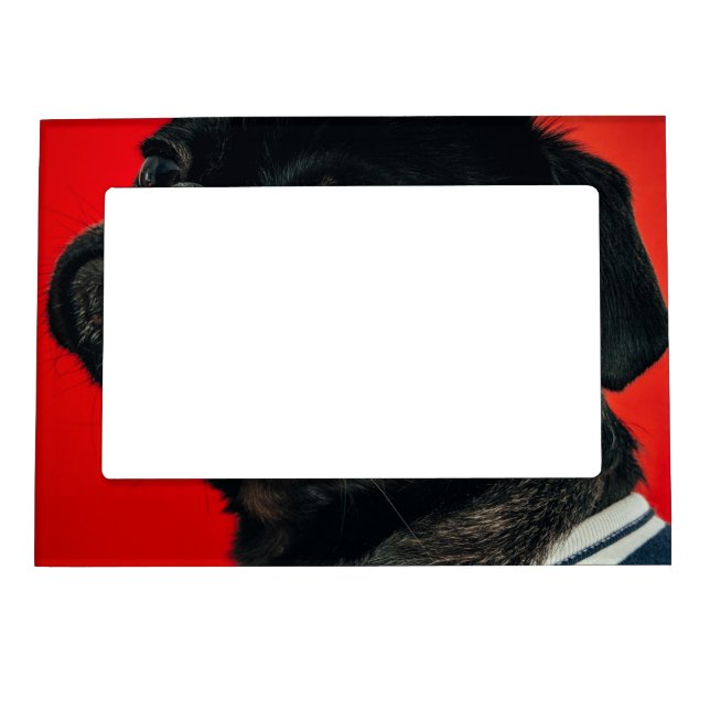 rojo dog magnetic frame (Front)