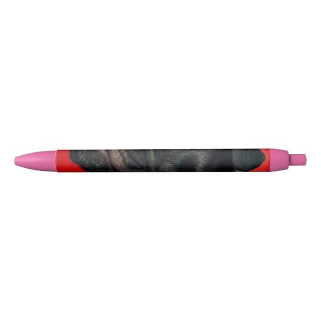 rojo dog pen (Front)