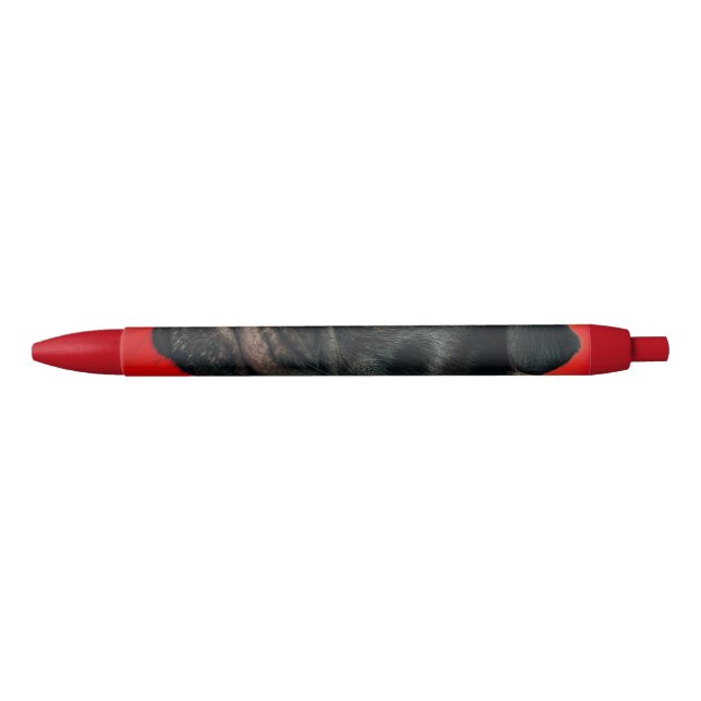 rojo dog pen (Front)