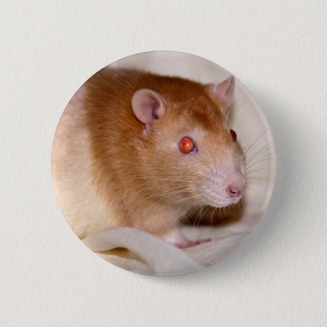 Rolando Badge Pinback Button (Front)