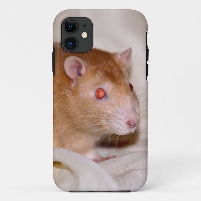 Rolando iPhone 5 Case (Back)