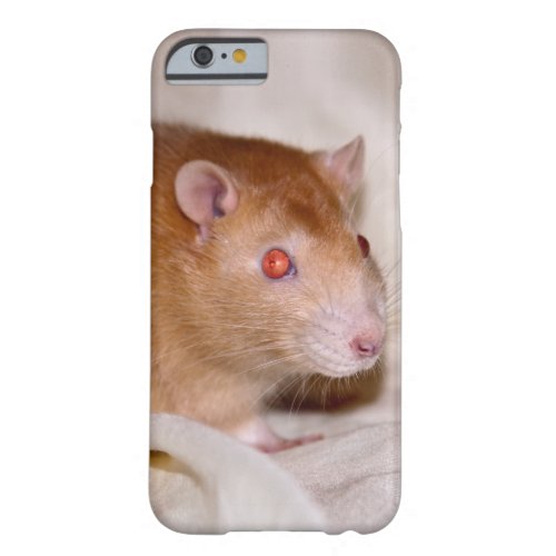 Rolando iPhone 6 Case