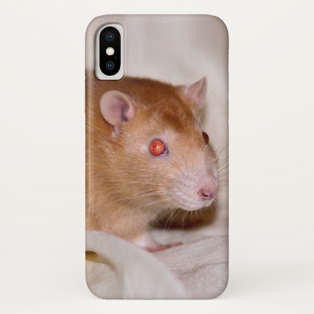 Rolando iPhone X Case (Back)