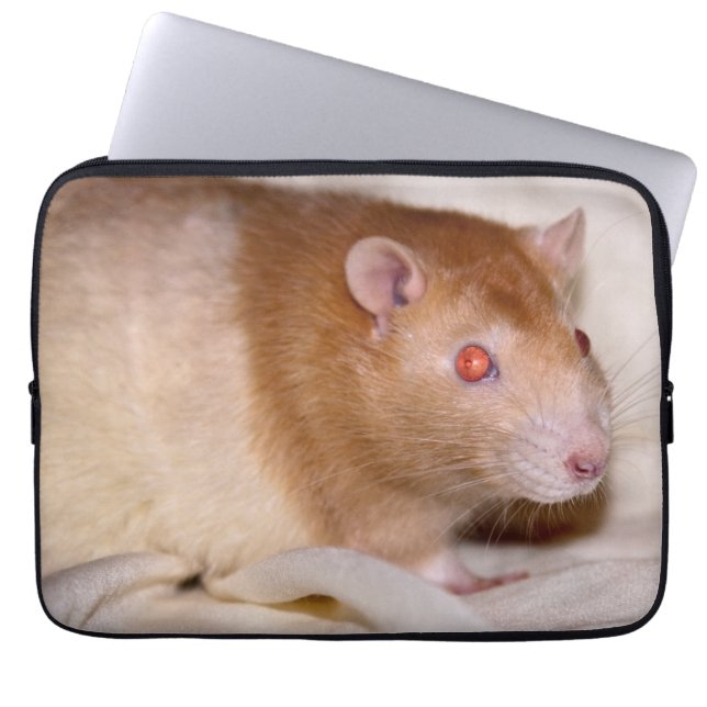 Rolando Laptop Sleeve (Front)
