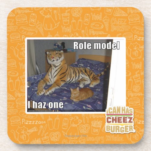 Role Model I haz one Coaster