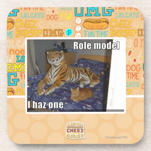 Role Model I haz one Coaster