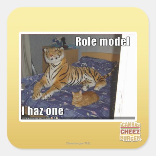 Role Model I haz one Square Sticker