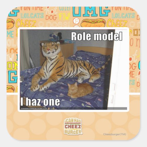 Role Model I haz one Square Sticker