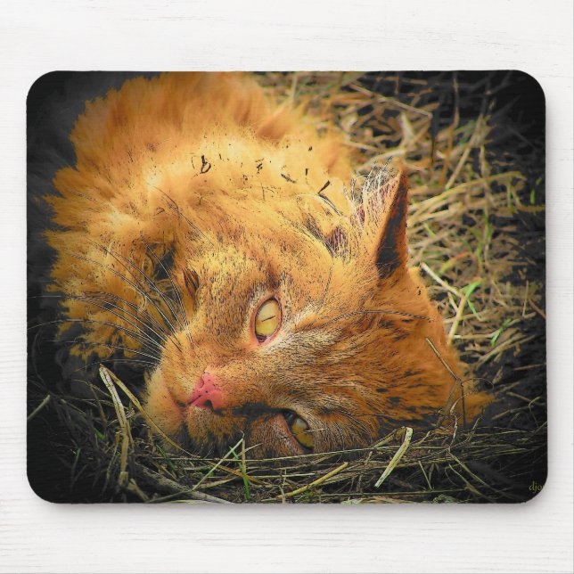 Roll in the Hay Mouse Pad (Front)