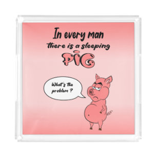 Rolled Acrylic Plateau Pig Acrylic Tray