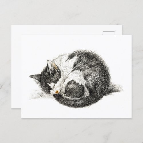 Rolled up lying sleeping cat 1825 postcard