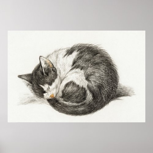 Rolled up lying sleeping cat by Jean Bernard Poster