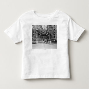 Roller Coaster at Glen Echo Park Photograph Toddler T-shirt