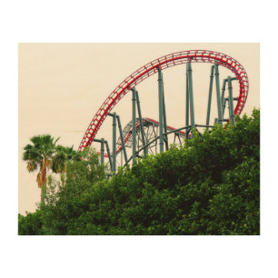 Roller Coaster Wood Wall Art