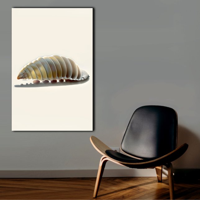Rollie Pollie Armadillo Seashell Wall Art (Creator Uploaded)