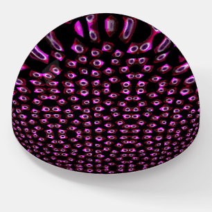 Rolling Eyes Dome Paperweight 