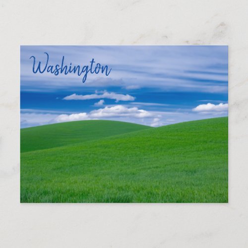 Rolling Green Wheat Fields of the Palouse Postcard