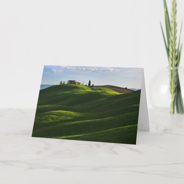 Rolling Hill Near Asciano, Tuscany Card (Front)