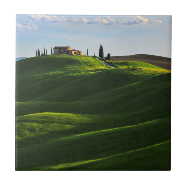 Rolling Hill Near Asciano, Tuscany Ceramic Tile (Front)