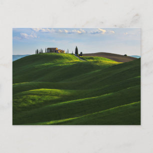 Rolling Hill Near Asciano, Tuscany Postcard