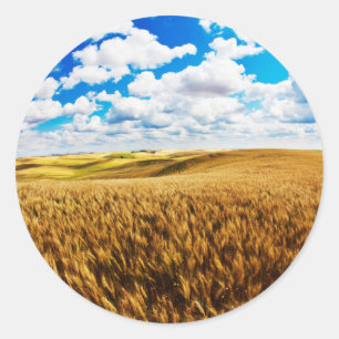 Rolling hills of ripe wheat classic round sticker
