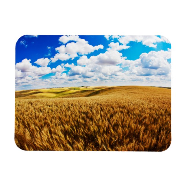Rolling hills of ripe wheat magnet (Horizontal)