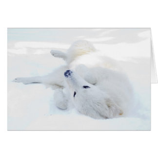 Rolling in the snow cards