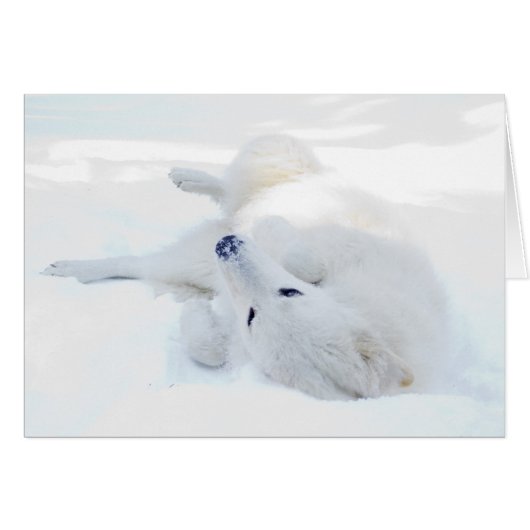 Rolling in the snow cards (Front Horizontal)