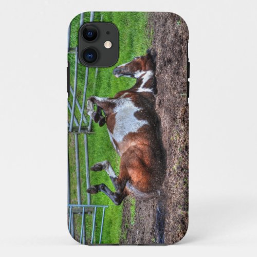 Rolling Paint Horse Equine Photo for Horse_lovers iPhone 11 Case