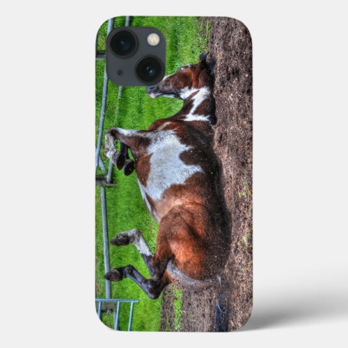 Rolling Paint Horse Equine Photo for Horse_lovers iPhone 13 Case