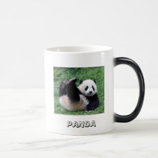 Rolling Panda Mug