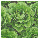 Romaine lettuce field photo fabric