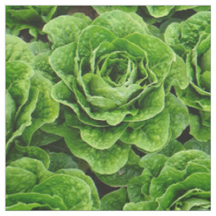 Romaine lettuce field photo fabric