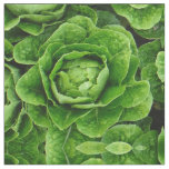 Romaine lettuce photo fabric