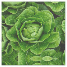 Romaine lettuce photo fabric