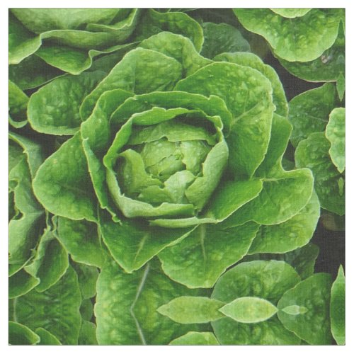 Romaine lettuce photo fabric