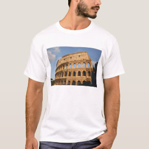 Roman Art. The Colosseum or Flavian 3 T-Shirt