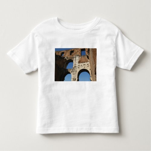 Roman Art The Colosseum or Flavian 5 Toddler T_shirt