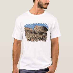 Roman Art. The Colosseum or Flavian 7 T-Shirt