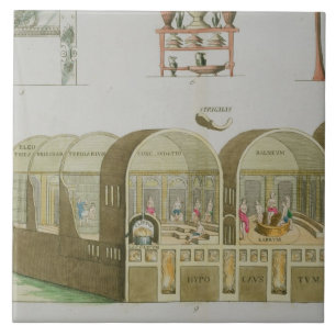 Roman Baths, plate from 'The History of the Nation Tile