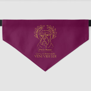 Roman Emperor Cane Corso's Pet Bandana Collar
