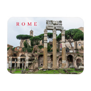 Roman Forum ruins view fridge magnet