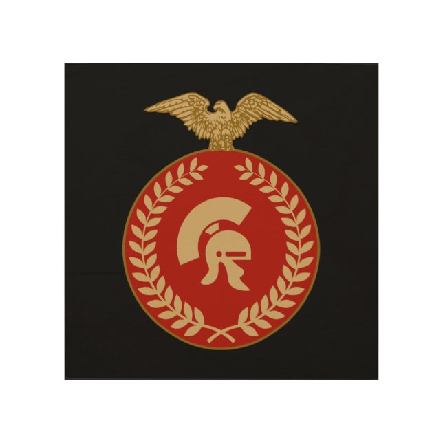 Roman Gladiator Wood Wall Art (Front)