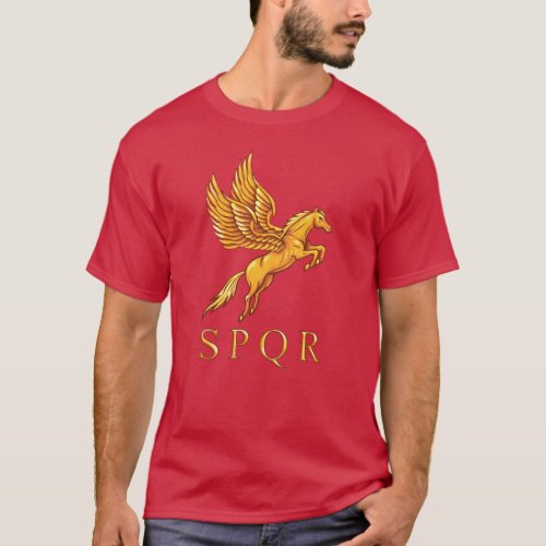 Roman Pegasus Graphic T_Shirt