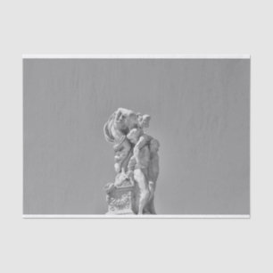 Roman sculptures in modern composition tissue paper