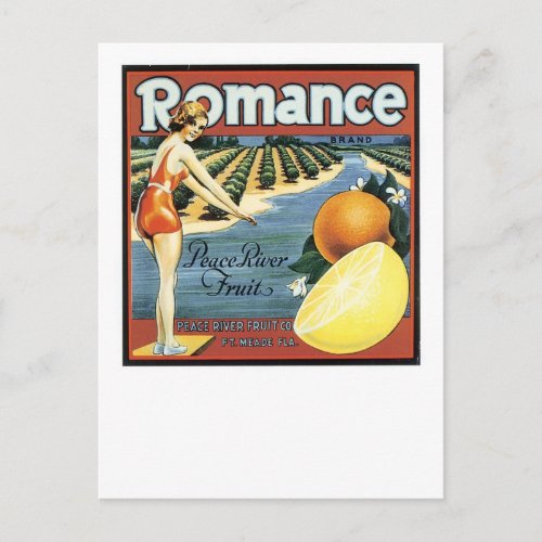 Romance Brand Peace River Fruit Postcard