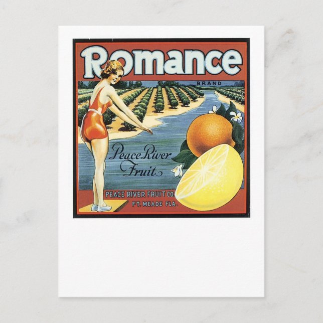 Romance Brand Peace River Fruit Postcard (Front)