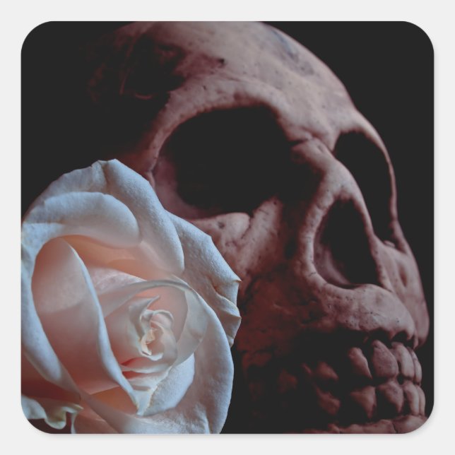 Romance - Skull and Peach Rose Square Sticker (Front)